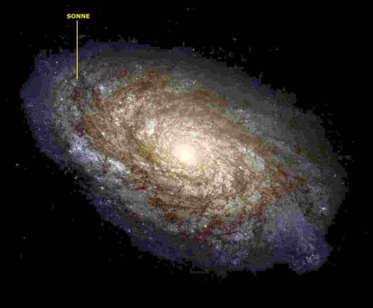 zu den Die Reisen des Bo Reeves /KEB /D1